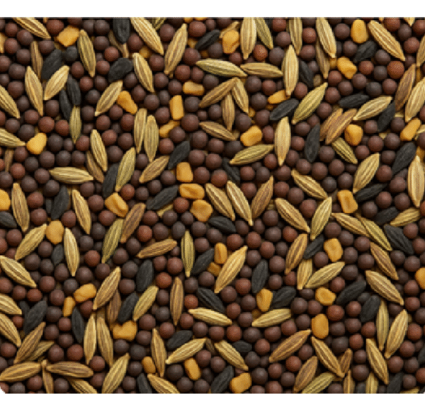 Panch Phoron – Indian 5-Spice Blend