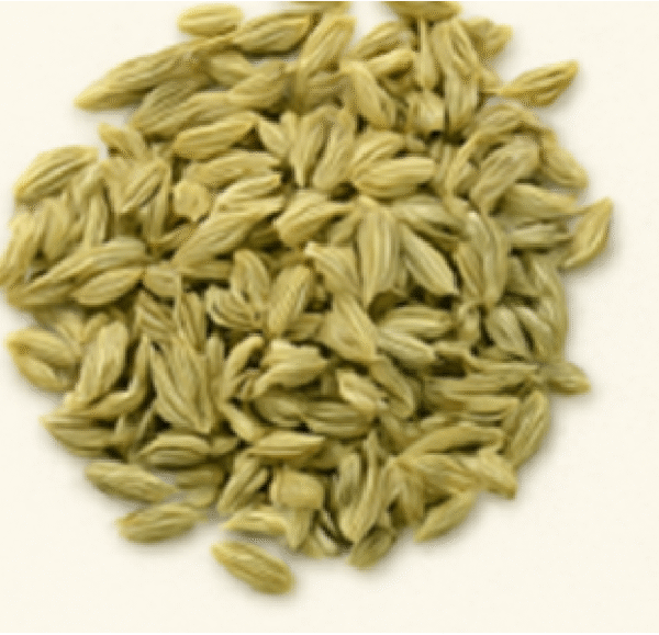 Fennel Seeds